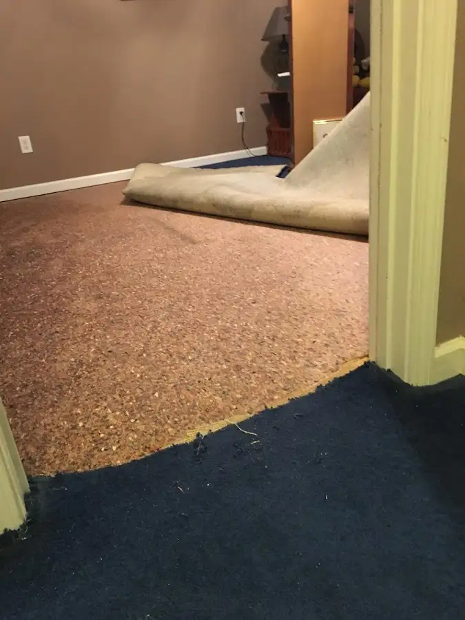 Carpet pad removal revealing water damage during Water Mitigation Services in Boonton